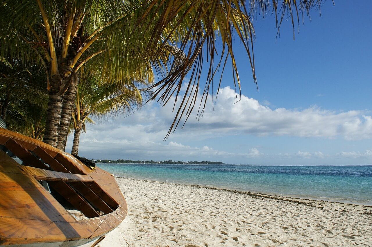 plage palmier plongée à l'île Maurice