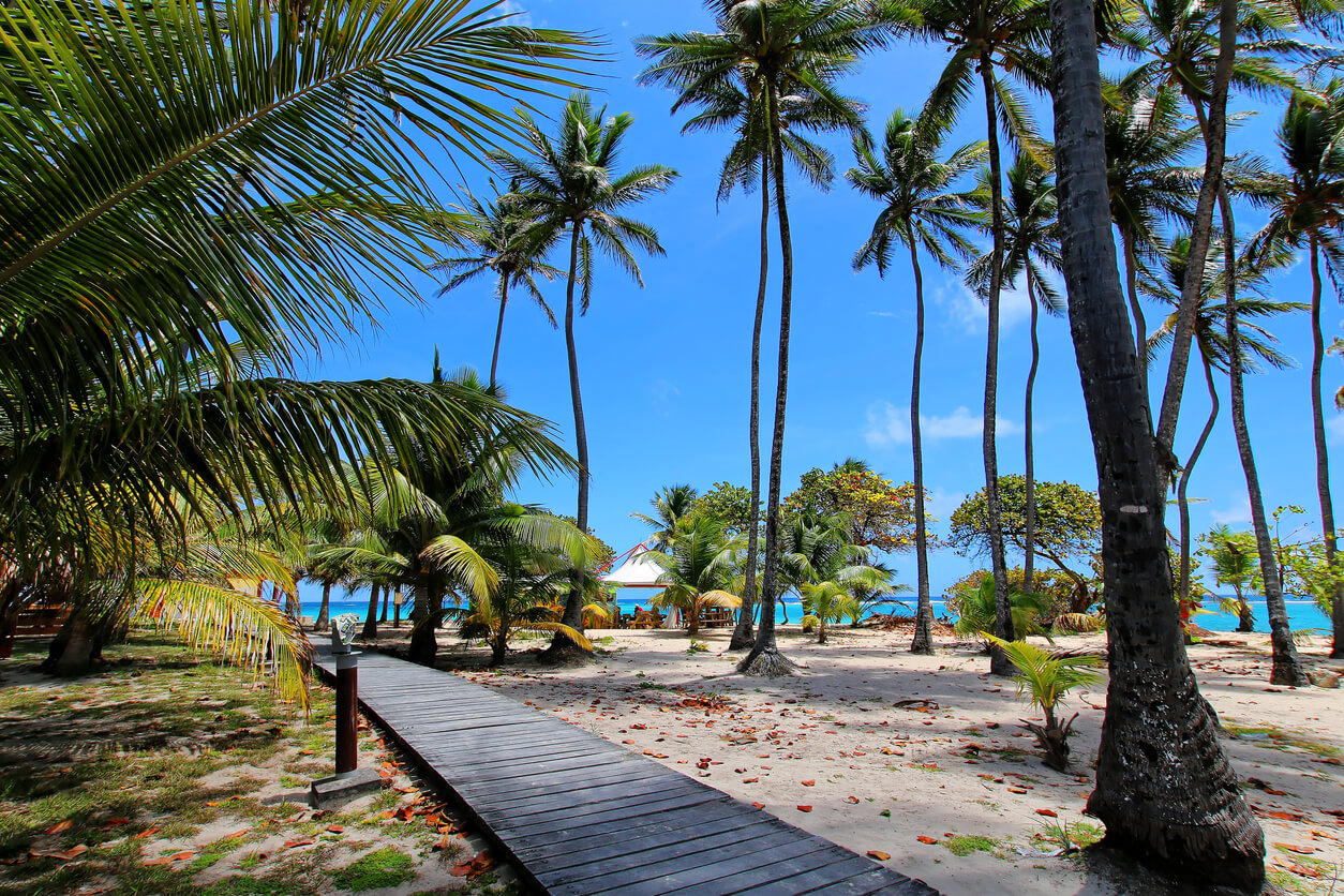 Temp Rature De La Mer En Avril Marie Galante Se Baigner En Avril A Baigne