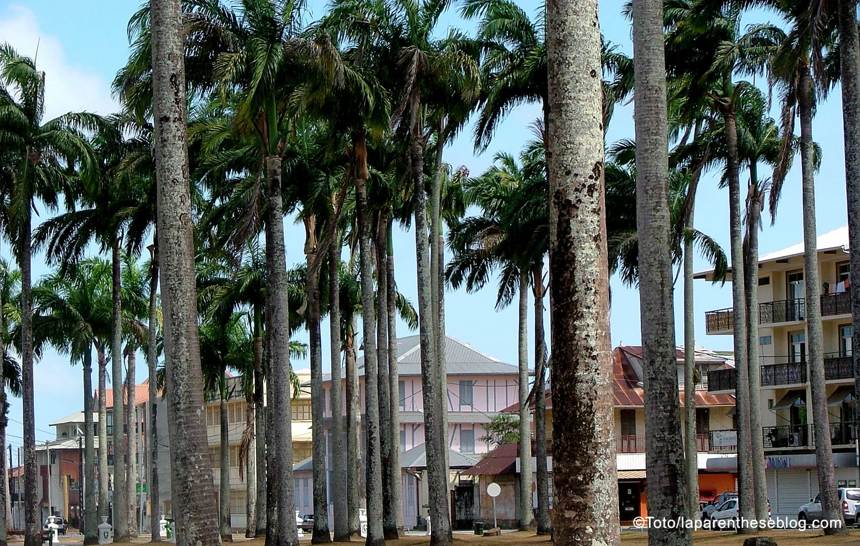 Cayenne Horaires des Marées en Septembre 2024 Ça baigne